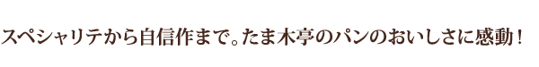 スペシャリテから自信作まで。たま木亭のパンのおいしさに感動!