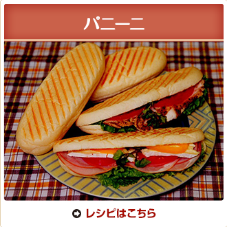 パニーニ