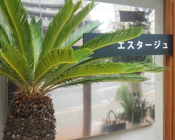 http://es%20feuilletage%20エスタージュ