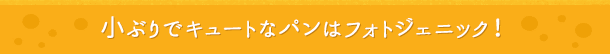 小ぶりでキュートなパンはフォトジェニック!