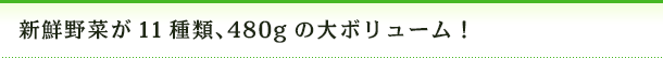 新鮮野菜が11種類、480gの大ボリューム!