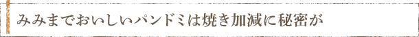 みみまでおいしいパンドミは焼き加減に秘密が
