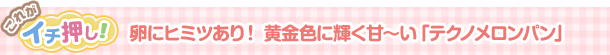 卵にヒミツあり! 黄金色に輝く甘~い「テクノメロンパン」