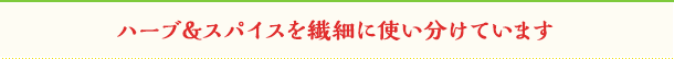 ハーブ&スパイスを繊細に使い分けています