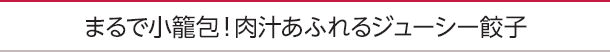 まるで小籠包!肉汁あふれるジューシー餃子